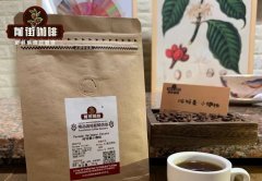 铁皮卡变种象豆帕切介绍 巴拿马哈特曼庄园帕卡马拉咖啡豆风味口