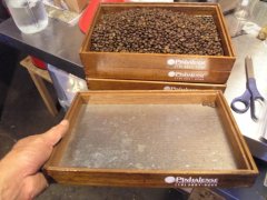 埃塞俄比亚咖啡豆筛选分级标准 挑选咖啡生豆重要性瑕疵豆的影响
