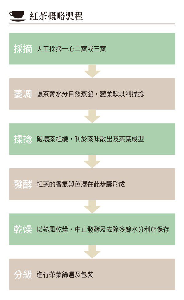 红茶、绿茶、乌龙茶有什麽不同？