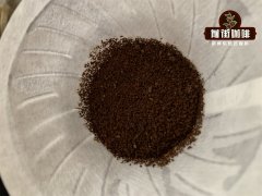  闷蒸和萃取咖啡的差异是什么 咖啡的烘焙度会影响闷蒸的效果吗