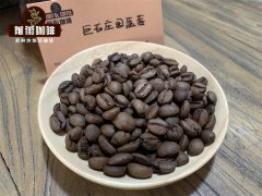 中南美洲的咖啡分级以什么为标准 海拔高度决定了咖啡级别吗