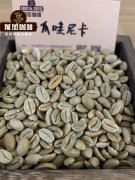 玻利维亚精品咖啡 玻利维亚独特的咖啡豆处理法是什么