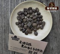 危地马拉薇薇特南果水洗波旁咖啡豆风味特点危地马拉八大咖啡产区