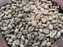 咖啡生豆有保鲜期吗？它的保鲜期又是多久呢？