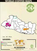 萨尔瓦多咖啡豆产地 火山之国萨尔瓦多咖啡种植的火山区域圣安娜