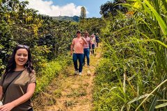 哥伦比亚咖啡之都—medellin产区故事 哥伦比亚咖啡种植区文化