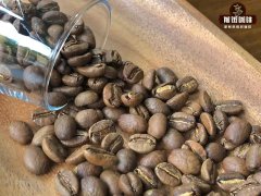 哥伦比亚蕙兰蒙特布兰克庄园水洗花见咖啡豆 瑰夏咖啡豆怎么冲？