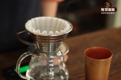 咖啡香槟—牙买加蓝山咖啡克利夫顿蓝山咖啡历史故事生长环境特点