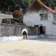 卢旺达咖啡处理厂故事 卢旺达盖瑟克精品咖啡种植环境风味特点
