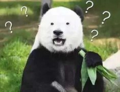 【图解】手冲咖啡注水教程 手冲怎么注水高度多少怎么绕圈