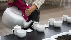 茶叶感官品评评鉴正确的茶具设备要求 评测茶叶的步骤流程指南
