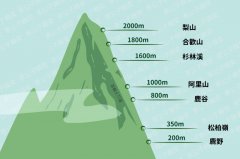 台湾高山茶香气口感有什么特点 高山茶品质特征详解及品牌推荐
