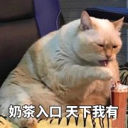 奶茶开封后能放几个小时？专家建议夏天奶茶要早点饮用完毕？
