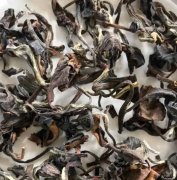 什么叫生茶什么叫熟茶哪个更好？生茶和熟茶的区别在哪里？