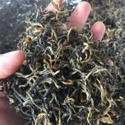 什么牌子英红九号最好 英红九号适合什么人喝功效作用和禁忌