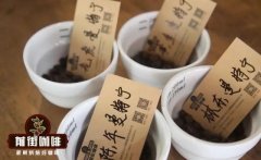 印尼黄金曼特宁咖啡豆是阿拉比卡品种吗 曼特宁和阿拉比卡咖啡豆区别