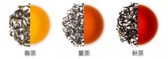 冷泡大吉岭红茶哪个牌子好 大吉岭春茶和秋茶的区别都有哪些