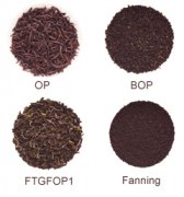pekoe红茶是什么？锡兰顶级红茶为什么是碎的？国际红茶等级划分