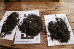 红茶茶叶等级一级好还是二级好 锡兰红茶BOP、BOPF、CTC的区别