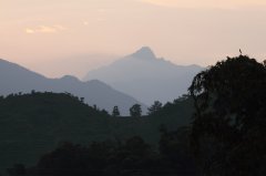 潮汕功夫茶放多少克茶叶 潮汕功夫茶泡茶正确的八步法步骤详解