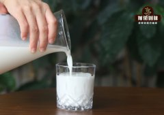 入门级咖啡知识：牛奶的加工方式区别