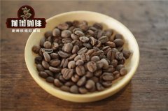 精品咖啡豆—SCAA精品豆分级制