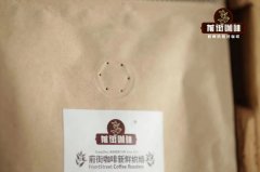 咖啡豆—埃塞俄比亚COE竞拍豆日晒精品浅度烘培的特点