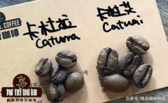 翡翠庄园瑰夏怎么分级，翡翠庄园钻石山和翡翠庄园瑰夏有什么区别