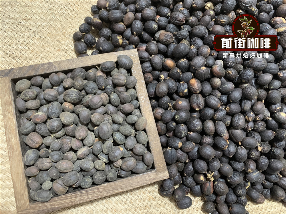 云南咖啡品种口感风味特点的区别 云南咖啡历史故事咖啡豆分级