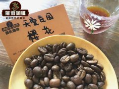 哥伦比亚咖啡到底多好喝？樱花咖啡豆故事起源和它的特点是什么？