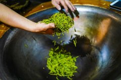 凤凰单枞浪菜水仙的制作工艺以及等级划分的区别有什么不一样？