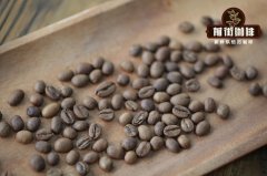 埃塞俄比亚特殊处理法咖啡豆推荐—厌氧处理法咖啡阿美狄拉洛介绍
