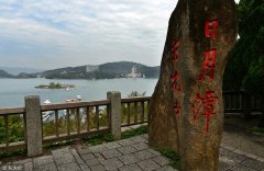 红茶揭秘：台茶18号红玉父树台湾野生山茶制成的红茶是什么味道